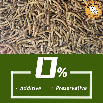 UCM Group 5LB Dried mealworms for Wild Birds, Chickens, High Protein Organic Chicken Feed, 100%