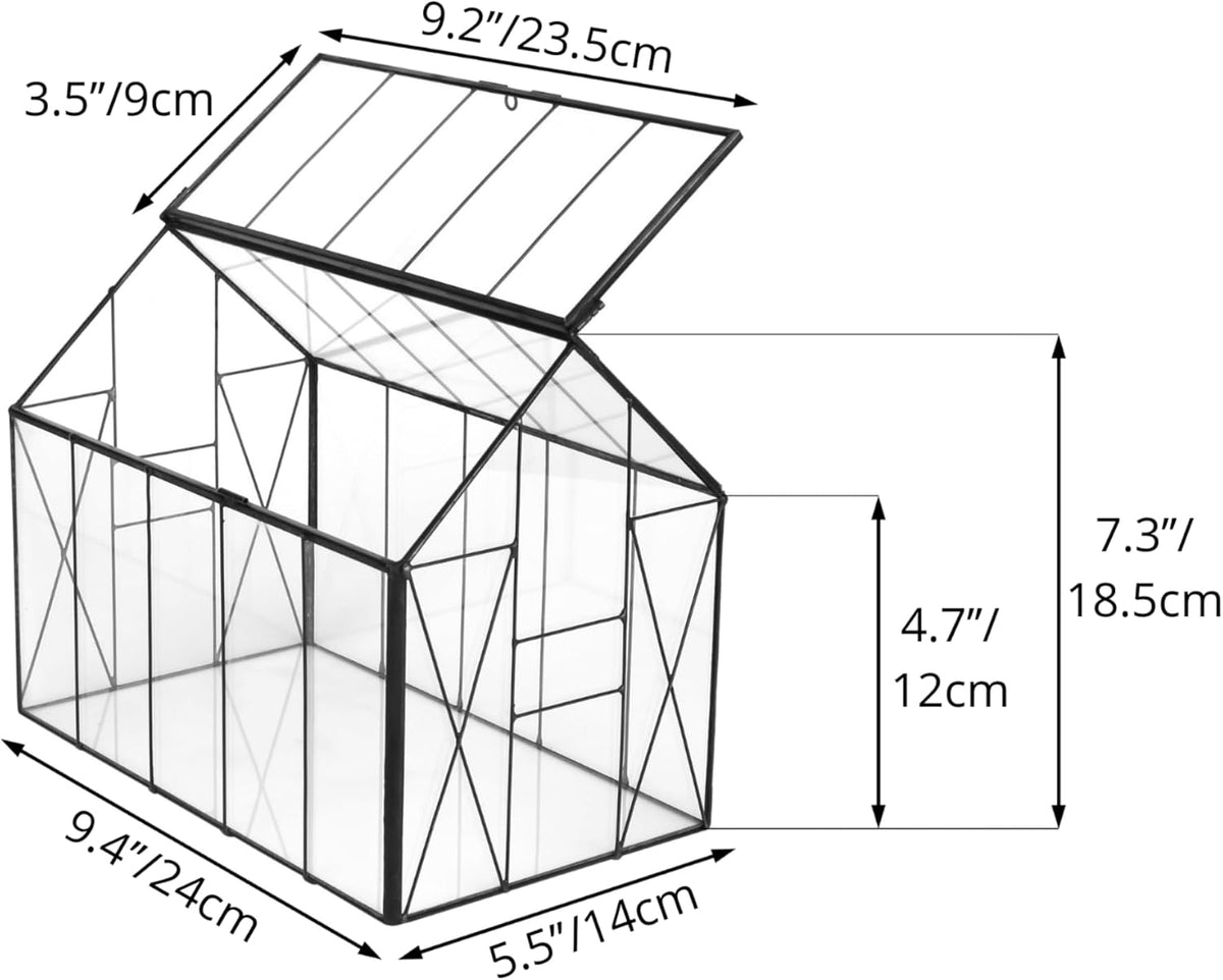 NCYP Geometric Glass Terrarium with Lid for Succulent, Small Cactus - Handmade Clear Closed House