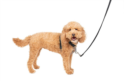 PetSafe 3 in 1 Dog Harness - No Pull Solution for Dogs - Reflective Dog Harness - Front D-Ring Clip