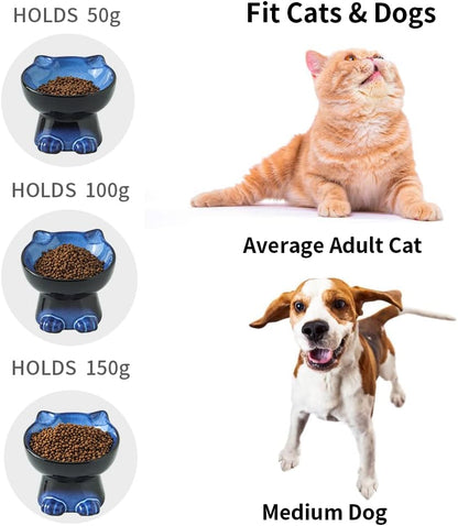 Nihow Elevated Cat/Dog Bowls Set : 6.2 Inch Ceramic Raised Cat Food & Water Bowl Set for Protecting