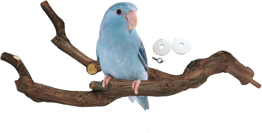 kathson Natural Parrot Perch Bird Stand Pole Wild Grape Stick Paw Grinding Fork Parakeet Climbing