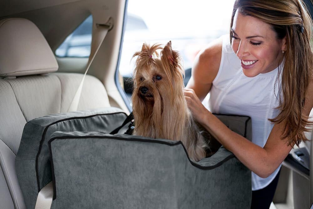 Snoozer Lookout I Dog Car Seat - Small Dog & Puppy Car Seat, Booster Bed for Small & Medium Size
