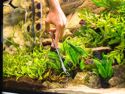 Long Aquarium Scissors for Plants 9.8 inches, Aquascaping Scissors Curved, Aquarium Plant Trimmer