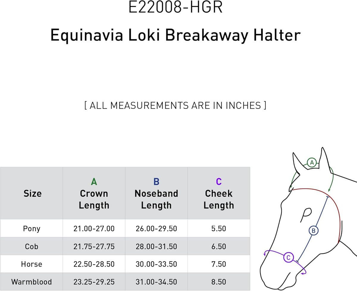 Equinavia Loki Adjustable Breakaway Horse Halter - Hunter Green - Horse