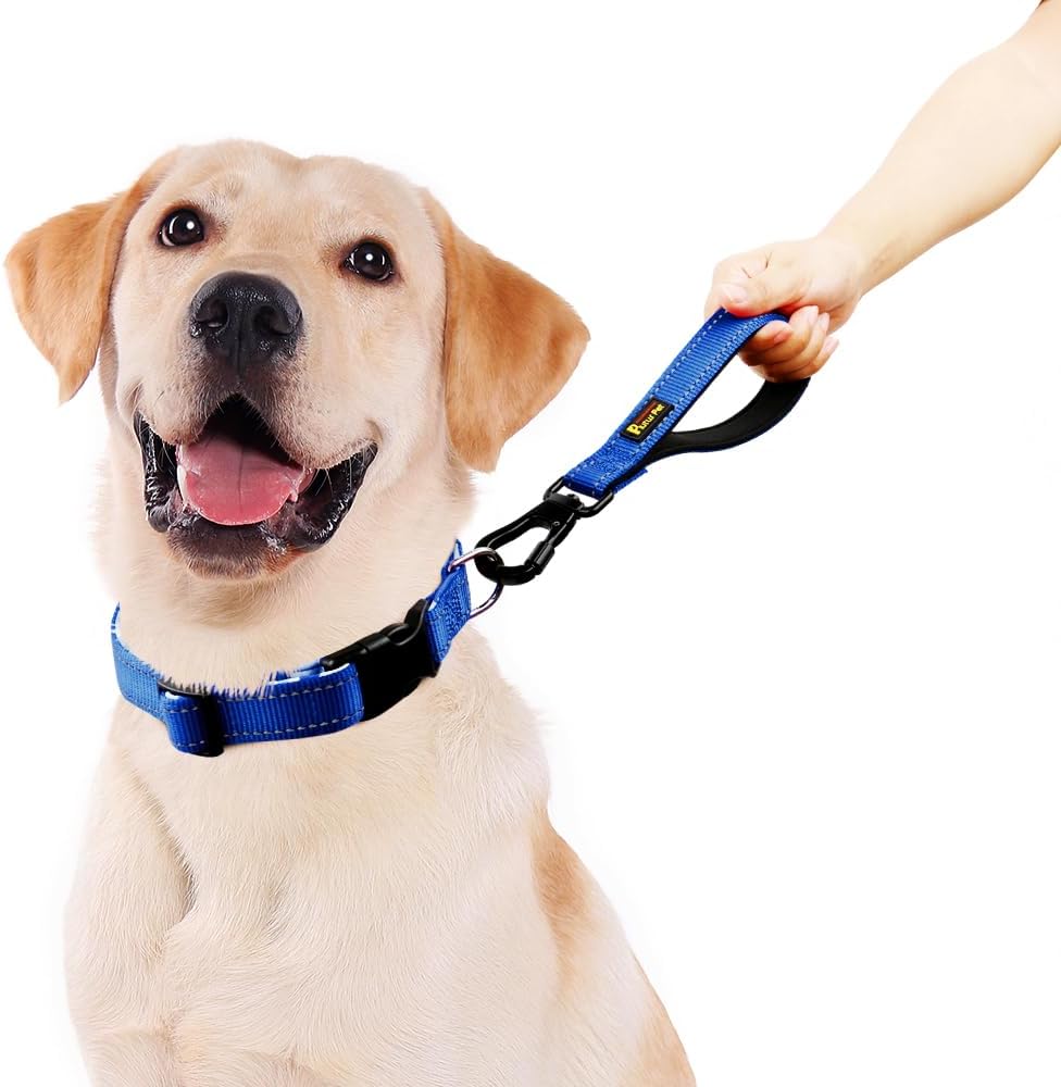 PLUTUS PET Short Dog Leash, Reflective Nylon Padded Handle, Strong Traffic Leash with Carabiner