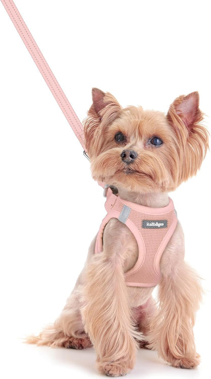 rabbitgoo Dog Harness Small Sized and Leash Set, Step in Soft Light Puppy Vest, Breathable Mesh Pet
