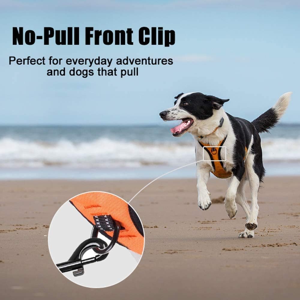 PoyPet No Pull Dog Harness, Reflective Comfortable Vest Harness with Front & Back 2 Leash
