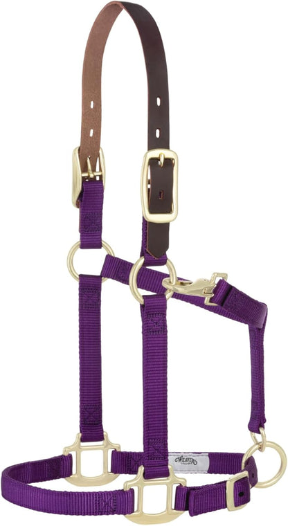 Weaver Equine Breakaway Horse Halter, Supple Leather Crown, Adjustable Chin & Throat Snap Halters