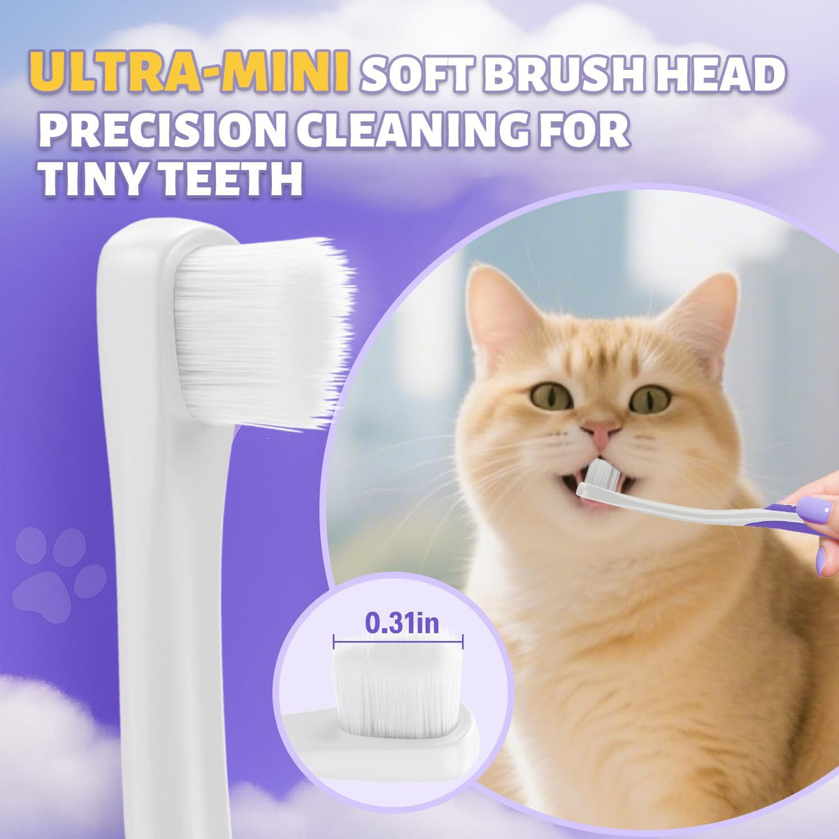 Cat Toothbrush and Toothpaste Kit - Includes Toothpaste (Coconut Chicken 2.5 oz.) Soft Brush