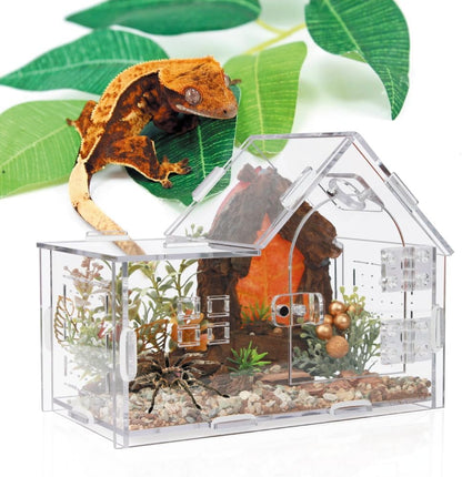 Acrylic Jumping Spider Enclosure - Versatile Reptile Enclosure with One-Click Magnetic Closure