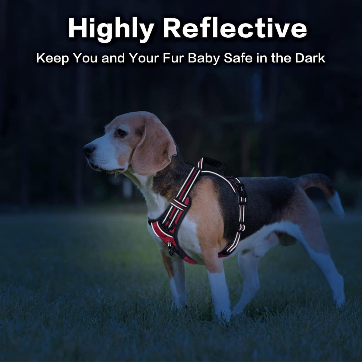 PoyPet No Pull Dog Harness, No Choke Front Clip Reflective Dog Vest with Soft Padded Vertical