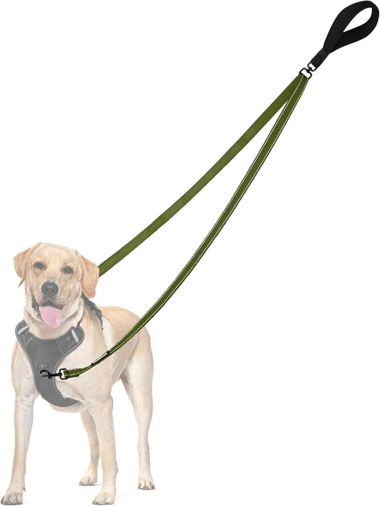 PetBonus Two Point Control Dog Leash, Works with No Pull Harnesses, No Tangle Dog Training Leashes