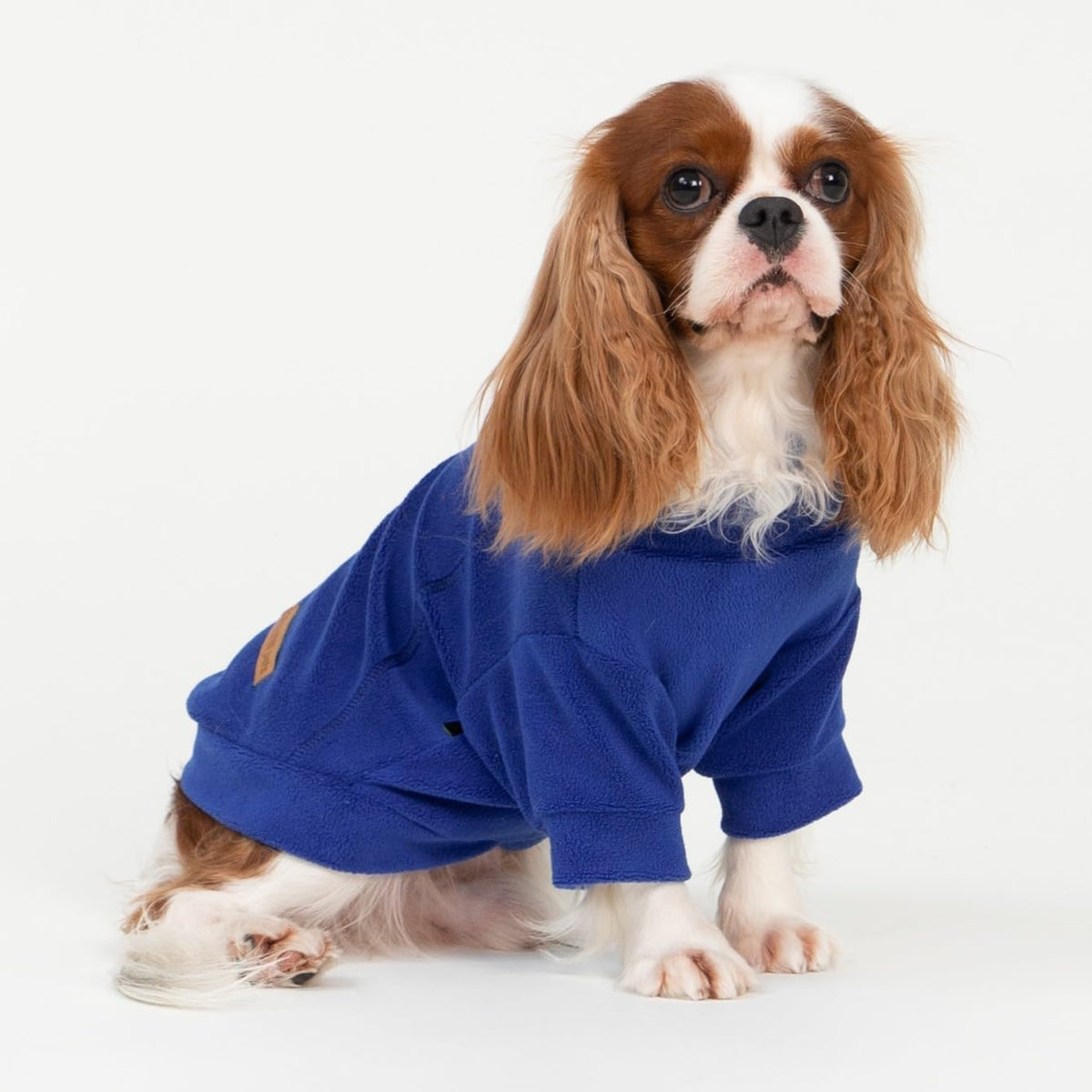 Fitwarm 3 Pack Classic Fleece Dog Sweater, Winter Clothes for Small Dogs Boy Girl, Turtleneck Dog