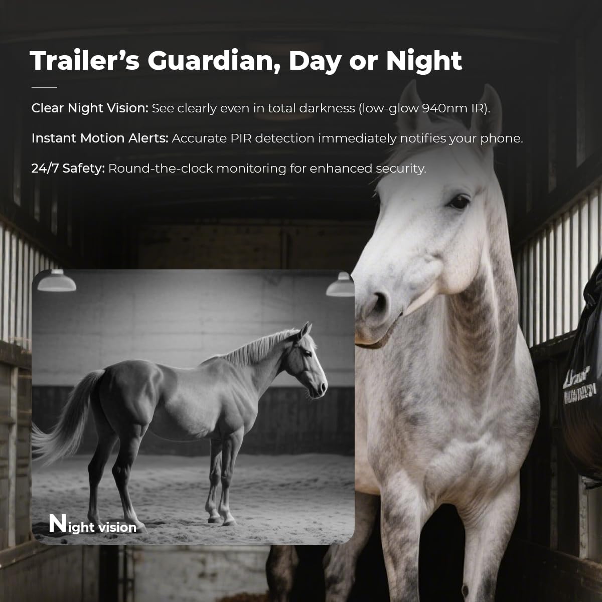 NomadEye Wireless Horse Trailer Camera – 4K Live Video & 2-Way Audio – WiFi Connect – Magnetic