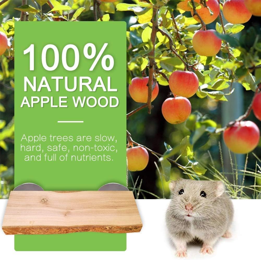 2Pcs Hamster Ledges Wooden Platform Rat Climb Platform Shelf Bird Perch Stand Toys Cage Accessories