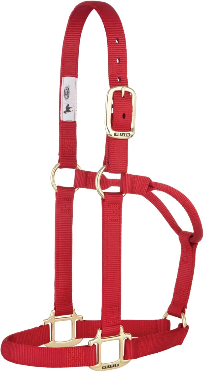 Weaver Equine Nylon Horse Halter, Triple-Ply Cheek Design, Original Non Adjustable Halters for