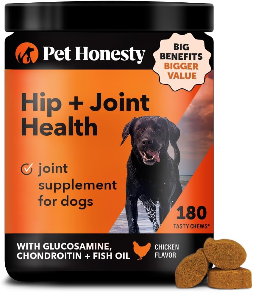 Hip & Joint Health - Dog Joint Supplement Support for Dogs with Glucosamine Chondroitin, MSM