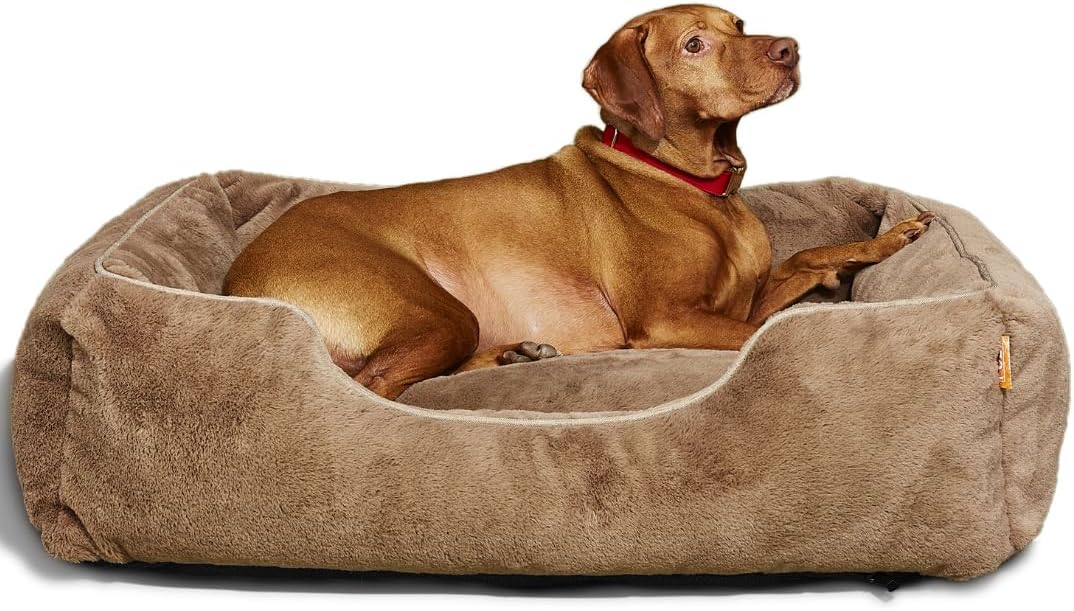 FUZI Luxury Aesthetic Dog Bed for Medium Dogs with Washable Cover, Pet Couch, Pet Bed with Sides