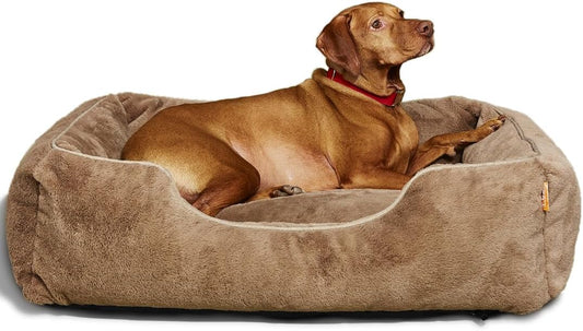 FUZI Luxury Aesthetic Dog Bed for Medium Dogs with Washable Cover, Pet Couch, Pet Bed with Sides