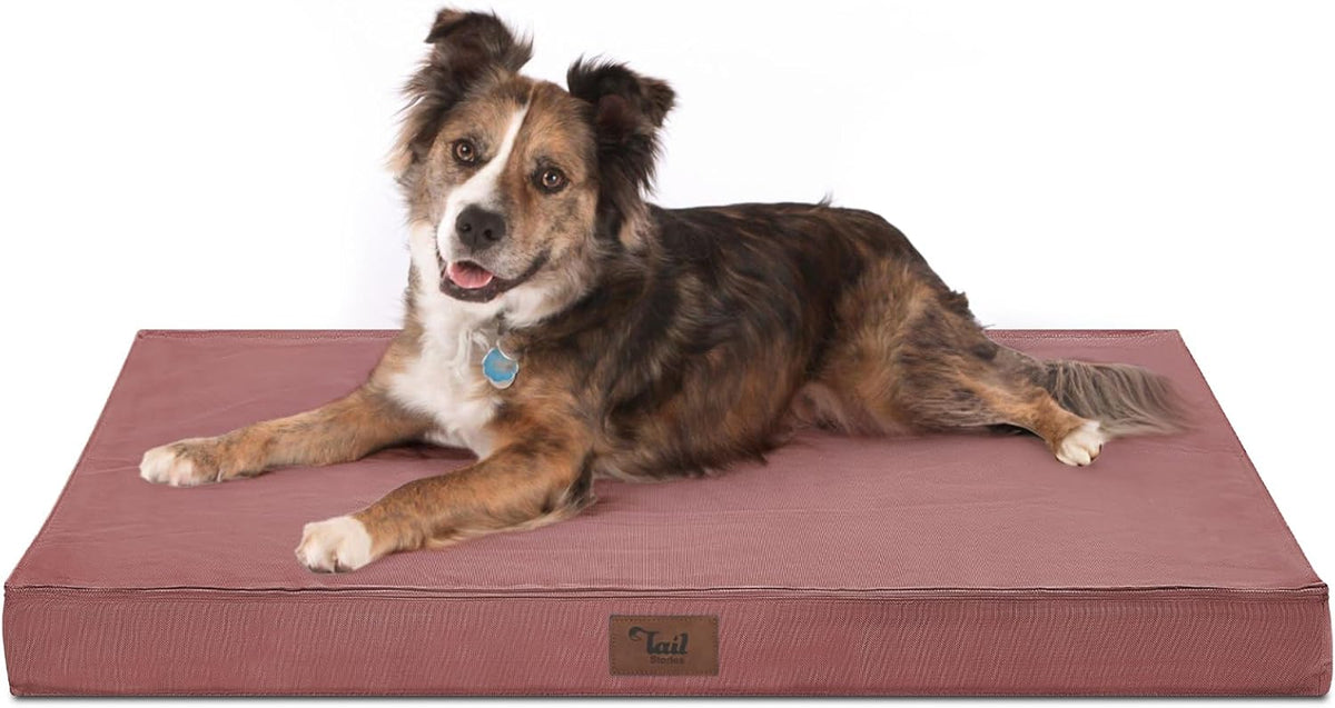 Orthopedic Dog Bed for Large Dogs, Big Waterproof Washable Dog Bed for Large Sized Dogs with Egg