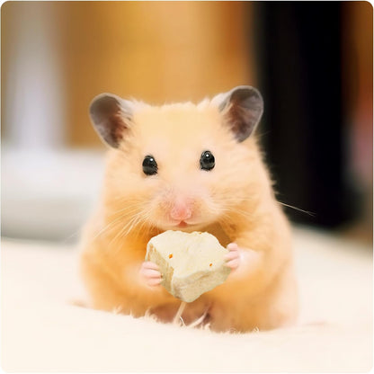 Abizoo Freeze Dried Tofu for Hamsters High Protein Low Fat & Balanced Minerals Grain Free Single