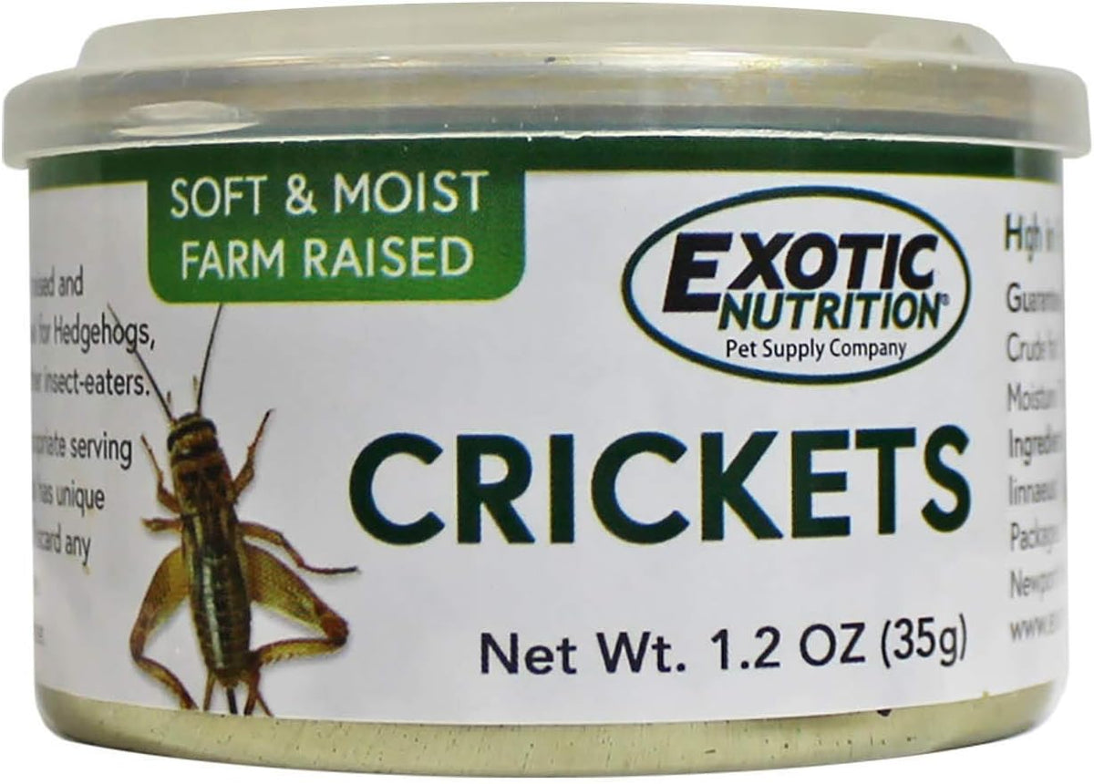 Canned Crickets (1.2 oz.) - Healthy High Protein Insect Treat - Hedgehogs, Sugar Gliders, Reptiles