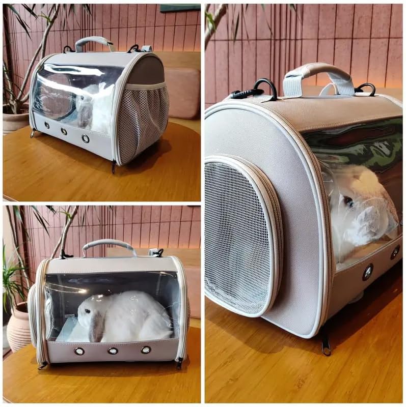 Bearded Dragon Travel Carrier Backpack,Lizard Backpack Carrier,Space Capsule Clear Bubble Window