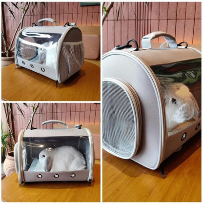 Bearded Dragon Travel Carrier Backpack,Lizard Backpack Carrier,Space Capsule Clear Bubble Window