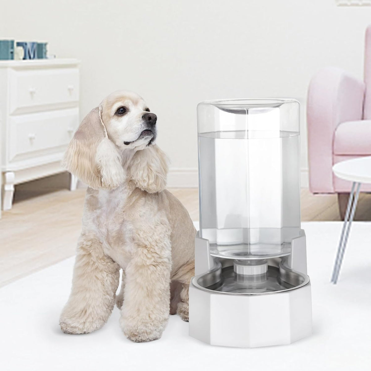 Sfozstra Dog Water Bowl Dispenser: 6L Large White Gravity Stainless Steel Bowl - Without Filter
