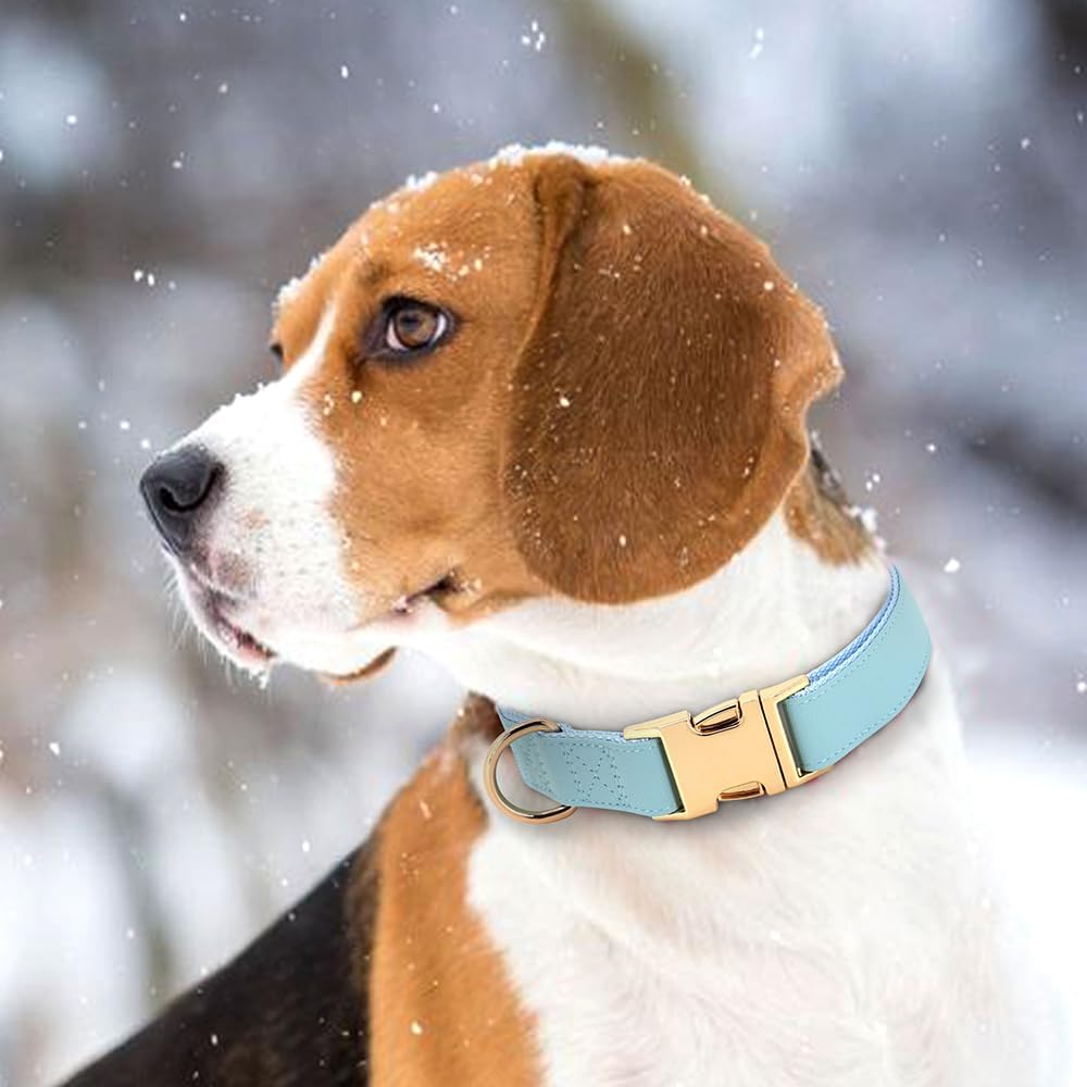 PET ARTIST Soft PU Leather Dog Collar for Large Dogs, Bright & Classic Nylon Padded Durable Dog