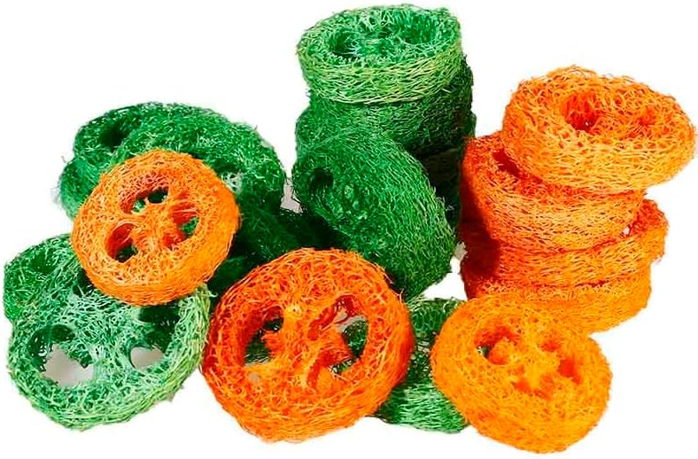 15 Pcs Fruit Flavored Loofah Slices Rabbit Chew Toys Guinea Pig Chew Toys Small Pet Chews Bunny