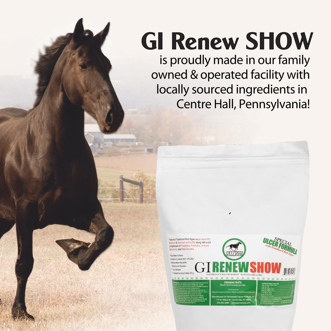 GI Renew Show, Probiotics for Equine, Immune and Appetite Stimulation, Prebiotics, Digestive