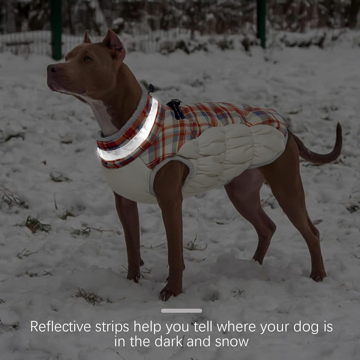 FUAMEY Dog Coat for Small Dogs,Waterproof Dog Winter Jacket with Harness Built in Puppy Cold