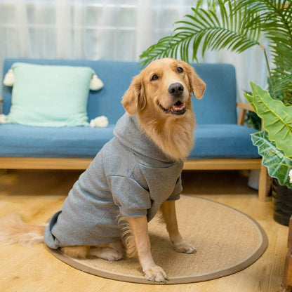 KOOLTAIL Basic Dog Hoodie - Soft and Warm Dog Hoodie Sweater with Leash Hole and Pocket, Dog Winter