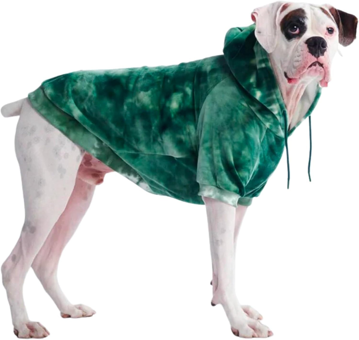 Spark Paws Dog Hoodie – Premium Dog Sweater for Small, Medium, and Large Dogs | Warm Outfits for