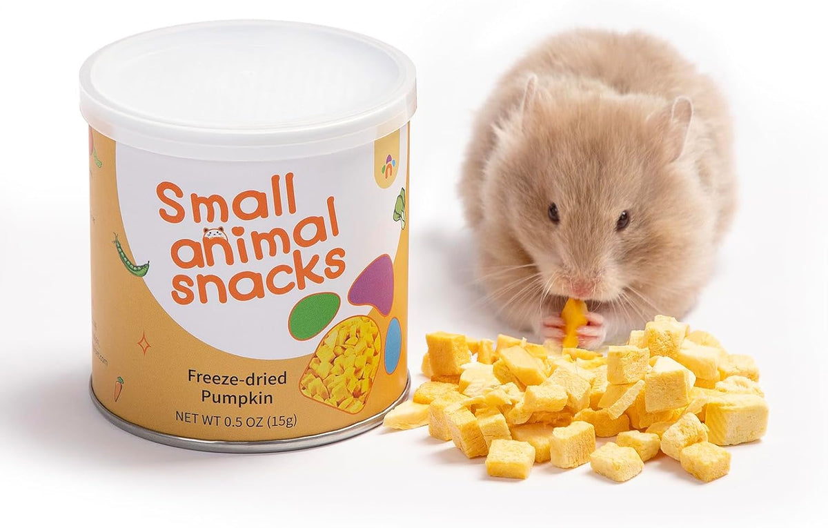 Niteangel Hamster Snack & Treats Toy - Small Animal Natural Treat for Dwarf Syrian Robo Hamsters