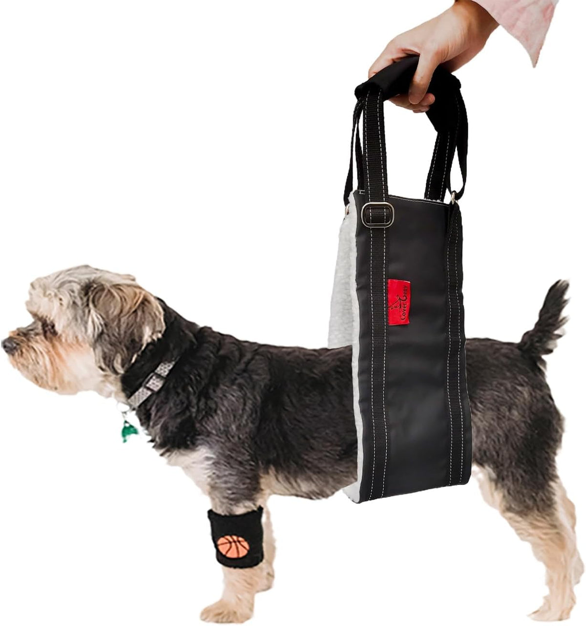 Dog Lift Harness - Adjustable Sling for Rear Legs with Soft Support for Senior, Injured, Disabled