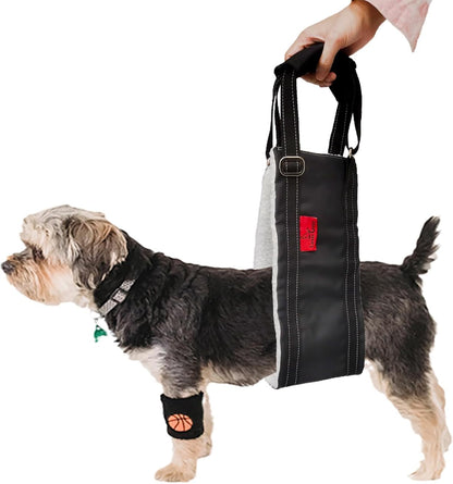 Dog Lift Harness - Adjustable Sling for Rear Legs with Soft Support for Senior, Injured, Disabled