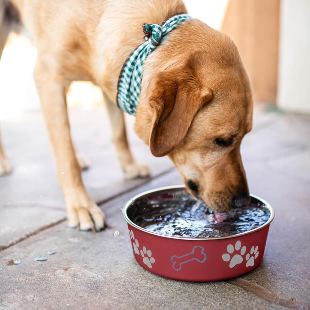 Loving Pets Bella Dog Bowls- Stainless Steel Dog & Cat Bowls - Spill Proof Dog Food Bowl, Cat Bowl