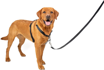 PetSafe 3 in 1 Dog Harness - No Pull Solution for Dogs - Reflective Dog Harness - Front D-Ring Clip