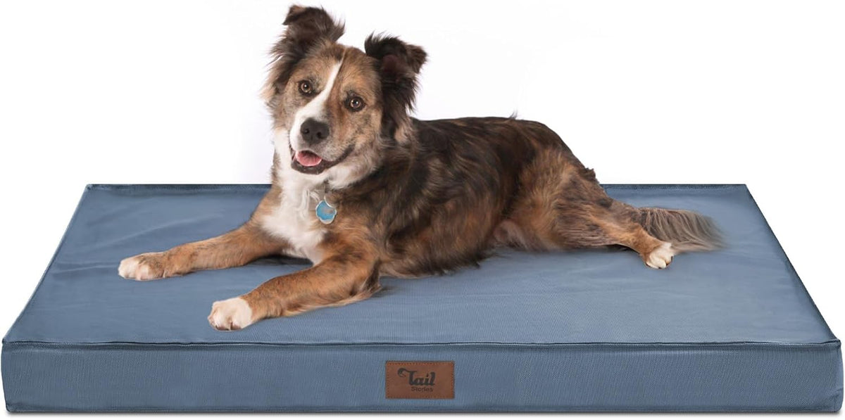 Orthopedic Dog Bed for Large Dogs - Pet Bed with Removable Washable Cover, Big Waterproof Dog Bed