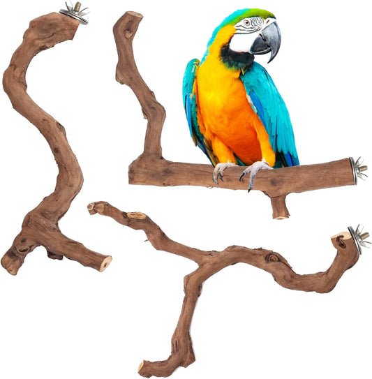 3-Piece Premium Bird Perch Stand with Natural Grape Wood Branch, Paw Grinding Fork, Chewing Stick