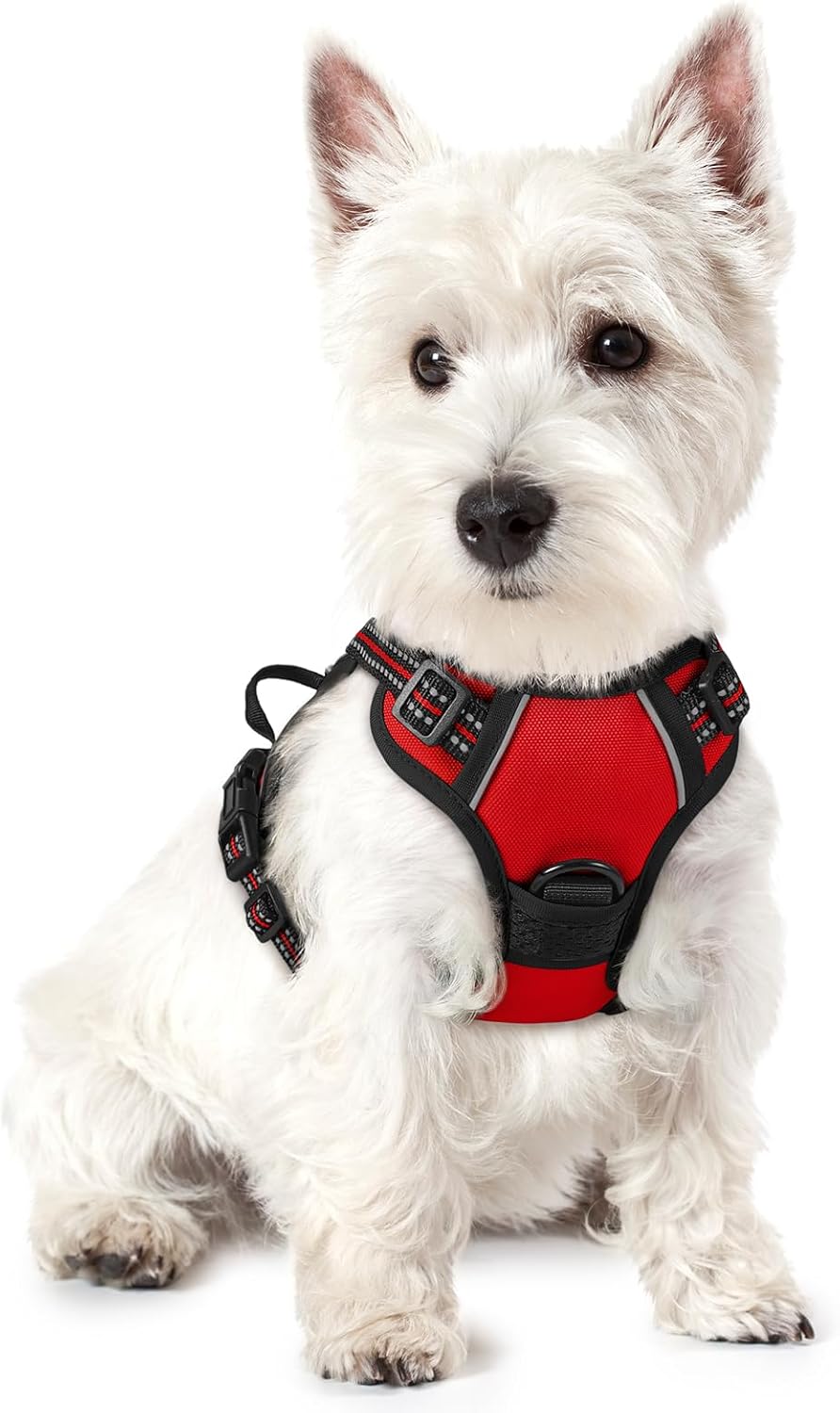 rabbitgoo Dog Harness No Pull with 2 Leash Clips, Adjustable Soft Padded, Reflective Oxford No