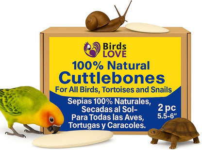 Birds LOVE Natural Cuttlebone | 100% Pure Sun-Dried Calcium Supplement for Birds, Tortoises, Snails