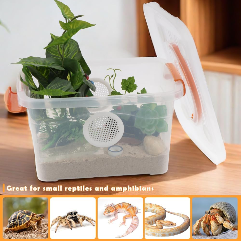 Reptile Feeding Box Snake Plastic Transparent Breeding Box Hatching Container for Small Reptile