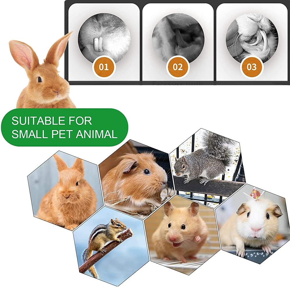 Rabbit Toys, 3 Types Hamster Chew Toys for Teeth Grinding, Improve Dental Health, Best Bunny Toys