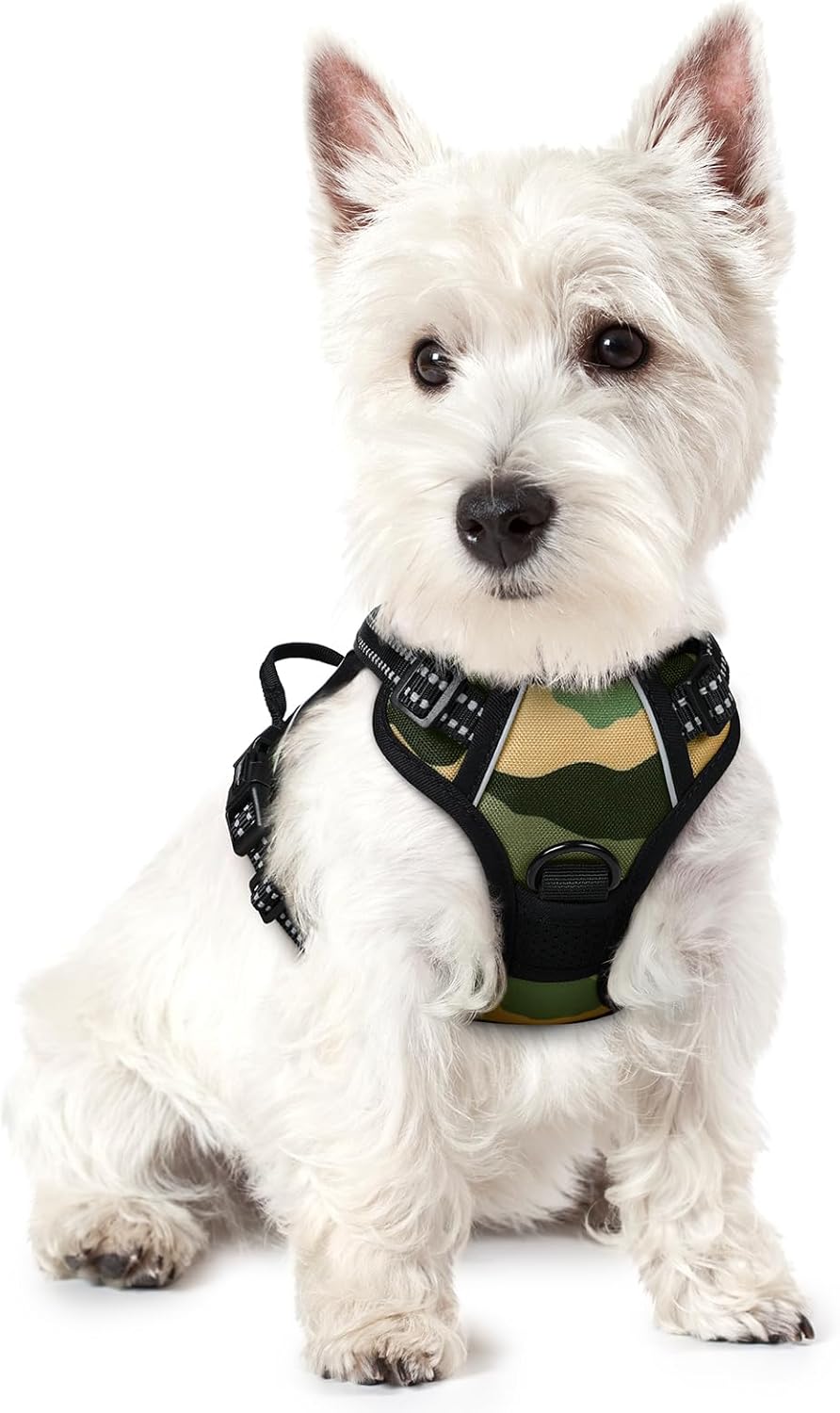 rabbitgoo Dog Harness No Pull with 2 Leash Clips, Adjustable Soft Padded, Reflective Oxford No