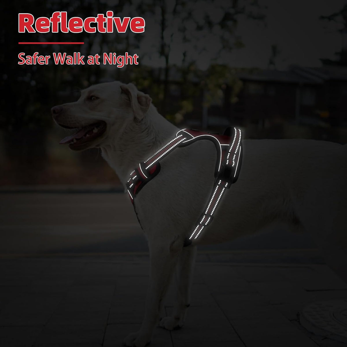 PUPTECK No Pull Dog Harness Medium Sized, Adjustable Reflective Dog Harness with Handle Easy