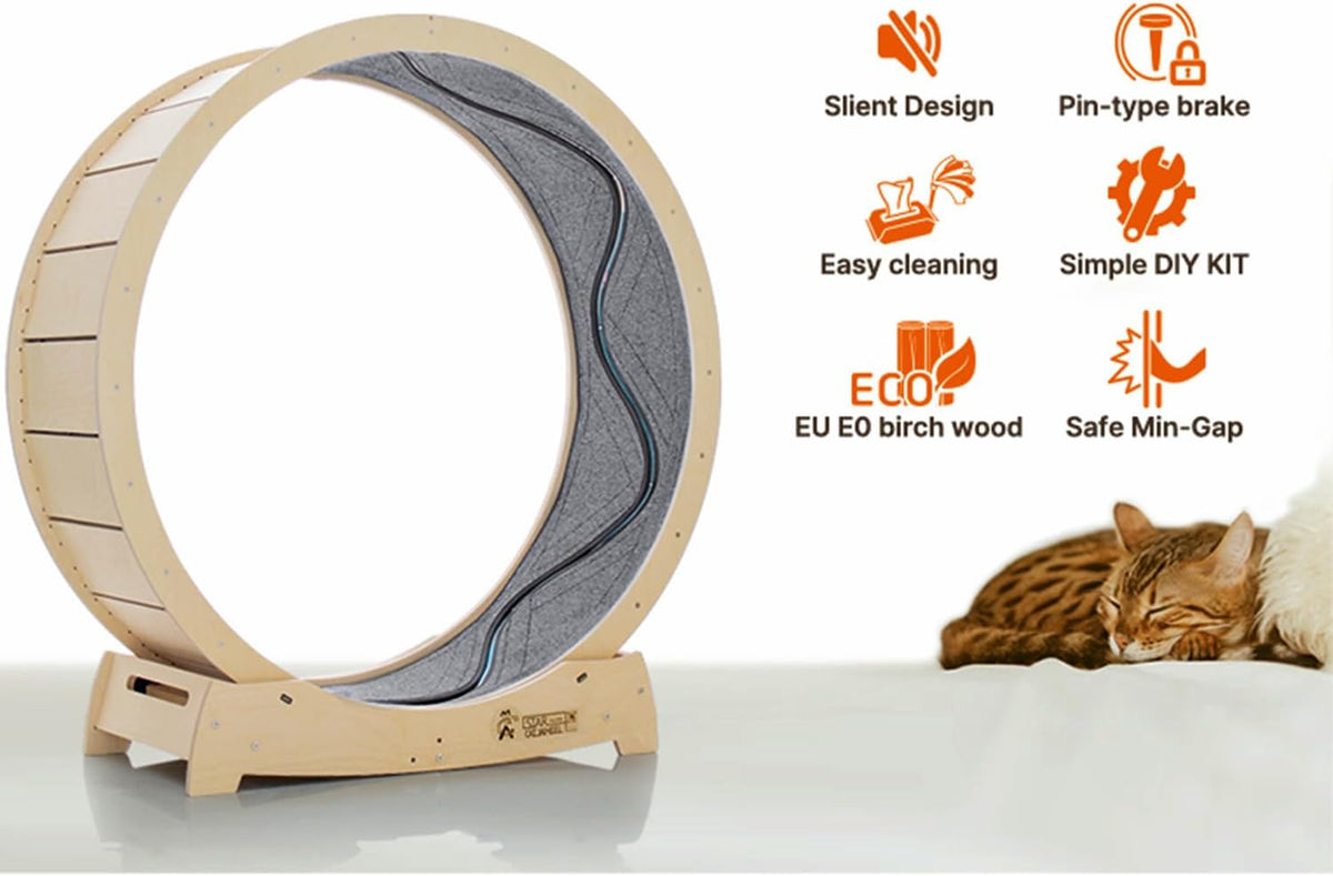 Star Cat Wheel, Cat Treadmill, Exercise Wheel for Running, Spinning, Scratching, and Climbing for