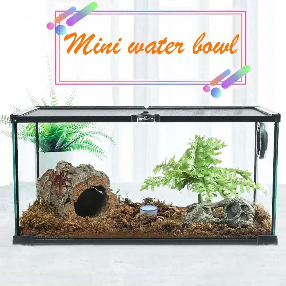 6 Pcs Spider Micro Water Bowl Mini Ceramic Dish for Spider Tarantula Millipede Tiny Reptile (Small: